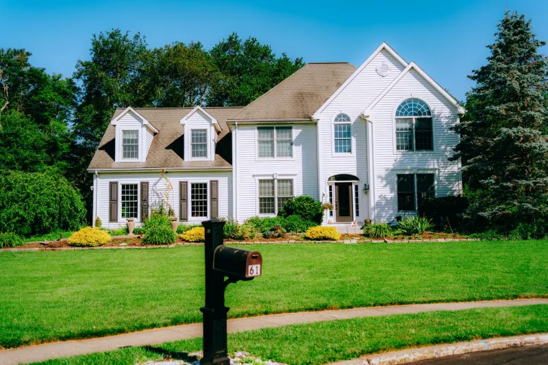 Front Yard Wildlands: The Quiet Rebellion Turning American Turf Into Habitat