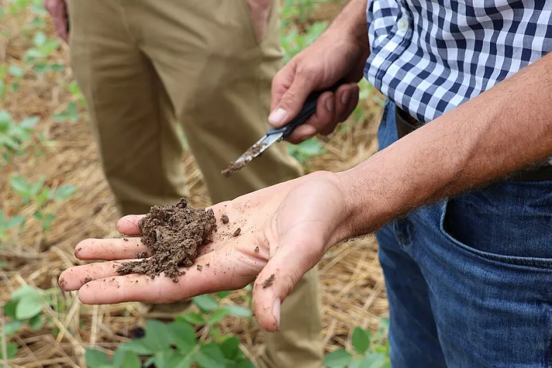 Beneath the Surface: How America's Farmers Are Turning Degraded Soil Into a Climate Asset—and a Financial One