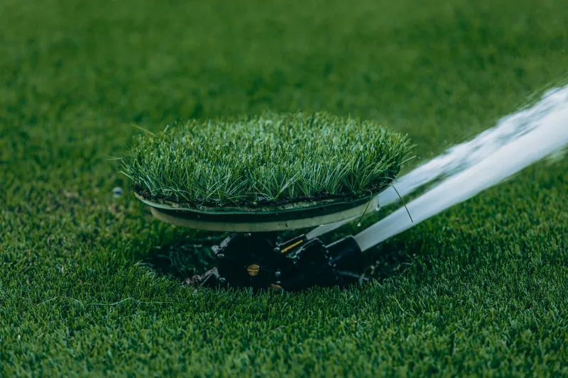 Turf Nation: The Thirsty Empire Americans Mow Every Weekend